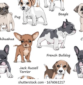 Seamless wallpaper pattern. Funny Cartoon puppies Characters. French Bulldog, Beagle, Jack Russell Terrier, Chihuahua, Pug. Textile composition, hand drawn style print. Vector illustration.