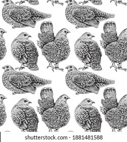 Patrón de papel pintado sin inconvenientes. Aves de malla. Composición textil, impresión a mano. Ilustración vectorial en blanco y negro.