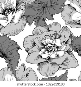 Seamless wallpaper pattern. Monochrome Begonia flowers and leaves. Textile composition, hand drawn style print. Vector illustration.