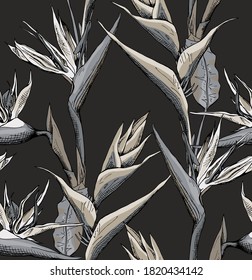 Seamless wallpaper pattern. Monochrome Strelitzia flowers and leaves. Textile composition, hand drawn style print. Vector illustration.