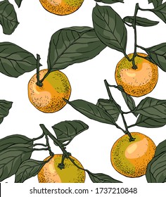 Seamless wallpaper pattern. Orange Tangerine with dark green leaves. Textile composition, hand drawn style print. Vector illustration.