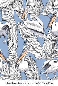 Seamless wallpaper pattern. Pelican water birds and banana leaves on a blue background. Textile composition, hand drawn style print. Vector illustration.