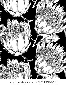 Seamless wallpaper pattern. Protea (Sugarbushes) flowers and leaves. Textile composition, hand drawn style print. Vector black and white illustration.