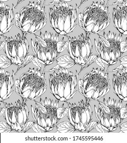 Seamless wallpaper pattern. Protea (Sugarbushes) flowers and leaves. Textile composition, hand drawn style print. Vector black and white illustration.