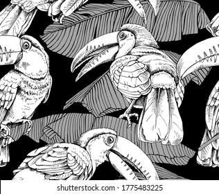 Seamless wallpaper pattern. Toucans birds in the banana leaves. Textile composition, hand drawn style print. Vector black and white illustration.