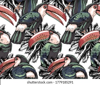 Seamless wallpaper pattern. Toucans birds on the palm. Textile composition, hand drawn style print. Vector illustration.