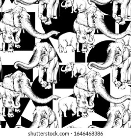 Nahtlose Bildschirmhintergründe. Weißer Elefant auf geometrischem Hintergrund. Textile Zusammensetzung, handgezeichnet Druck. Vektorillustration.