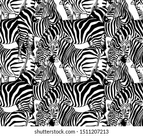 Seamless wallpaper pattern. Zebras on a white background. Textile composition, hand drawn style print. Vector illustration.