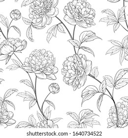Seamless wallpaper of of Peonies flowers elements. Digital flat illustration of blossom peony seamless pattern from elements on a white background. Bouquet of Peony. Decoration isolated against white.