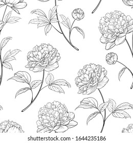 Seamless wallpaper of of Peonies flowers elements. Digital flat illustration of blossom peony seamless pattern from elements on a white background. Bouquet of Peony. Decoration isolated against white.