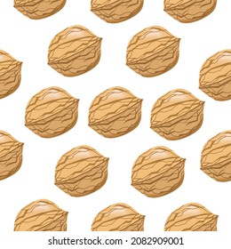 Seamless walnut pattern whole on a white background.Vector pattern.