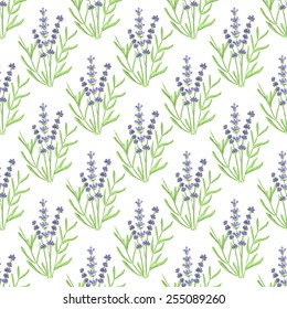 Seamless watercolor pattern with lavender on the white background, aquarelle. Vector illustration. Hand-drawn original floral background. Useful for invitations, scrapbooking, design.