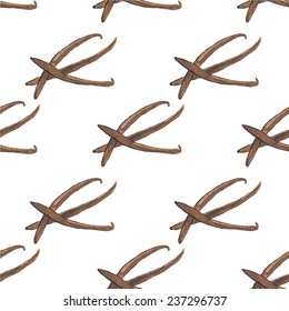 Seamless watercolor pattern with vanilla sticks on the white background, aquarelle.  Vector hand-drawn background. Original background with spice. Useful for invitations, scrapbooking, design.