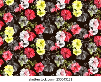 Seamless watercolor petunia pattern. Pink and yellow flowers on the black background