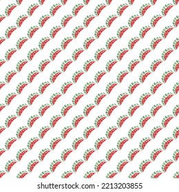 seamless watermelon pattern. vector doodle illustration with watermelon. pattern with red watermelon