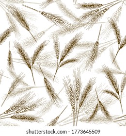 Seamless wheat ear pattern. Sketch breads grains, hand drawn bakery ears and bread grain vector illustration set. Autumn harvest, natural and organic products for packaging isolated on white
