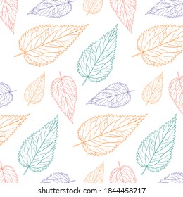 Seamless white background with Botanical colored nettle leaf outlines