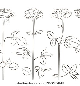 seamless white background with roses