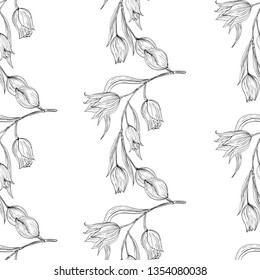 Seamless white and black pattern with tulip. Natural wildflowers white and black illustration.