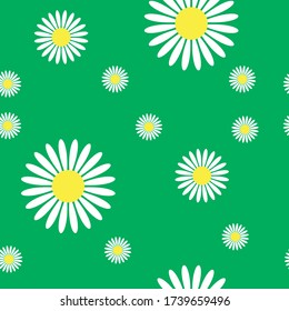 Seamless white chamomiles on a green background. Vector drawing for printing on fabric and paper. Basic design for packaging, postcards and flyers.