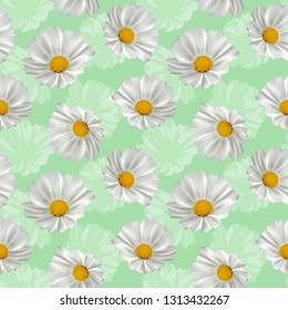Seamless white cosmos flowers pattern and candy mint green background