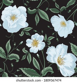 Seamless White Elegant Rosehip Flowers Pattern on Black Background