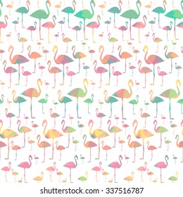 seamless white pattern colorful flamingo, color birds vector