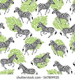 Seamless white pattern with zebras. Vector illustration