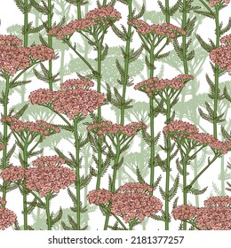 SEAMLESS WHITE VECTOR PATTERN WITH BLOOMING PINK YARROW