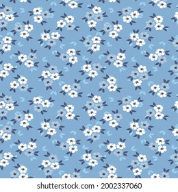 vector blanco transparente pequeño patrón de flor en fondo gris