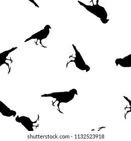 Seamless wild animals pattern Crows black silhouette isolated on white background. Dark shadow ravens birds print, vector eps 10