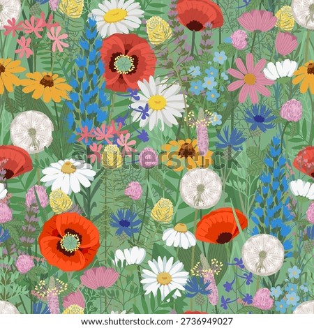 Seamless wild meadow flower pattern with poppies daisies dandelions and herbs, colorful hand drawn botanical illustration for textile wallpaper and surface design