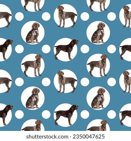 Seamless Wirehaired Pointing Griffon symmetric pattern with white circles. Square format. Blue packaging, textile, decoration, wrapping paper. Trendy hand-drawn dogs wallpaper. Detailed dogs design.