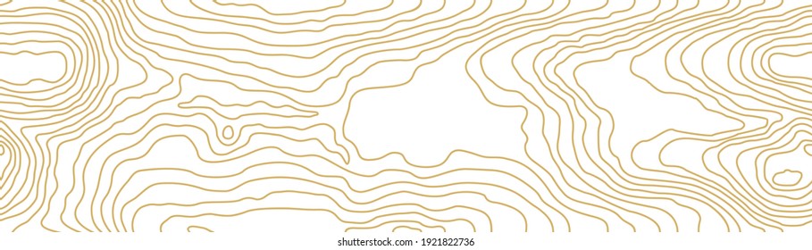 Seamless Wooden Pattern. Wood Grain Texture. Dense Lines. Abstract White Background. Vector Illustration