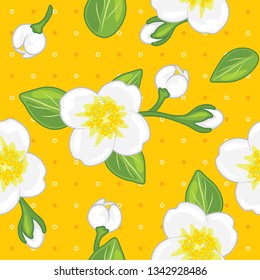 Seamless yellow pattern with blooming jasmine. Vector