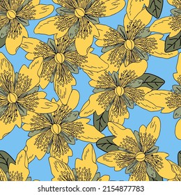 Seamless yellow pattern with St. John's wort flowers.Vector background for printing on paper or fabric, designer decor