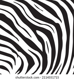 Seamless zebra background vector illustration