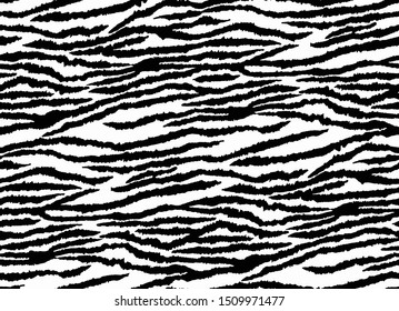 seamless zebra pattern, animal print