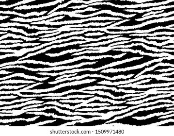 seamless zebra pattern, animal print