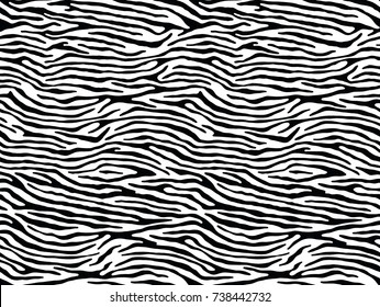 Impressão de zebra sem costura, pele de animal, listras de tigre, padrão abstrato, fundo de linha, tecido. Incrível ilustração vetorial desenhada à mão. Poster, bandeira. Arte em preto e branco, monocromático