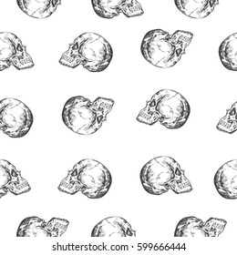 Seampless pattern with skull. Vector hand drawn