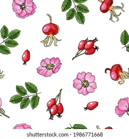 Seampless pattern vector color food. Rosehip, Hawthorn. 