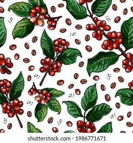Seampless pattern vector color food. Branch of coffee, berries. 