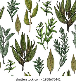 Seampless pattern vector color food. Rosemary, Sage, Bay