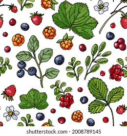 Seampless pattern vector color food. Garden and forest berries