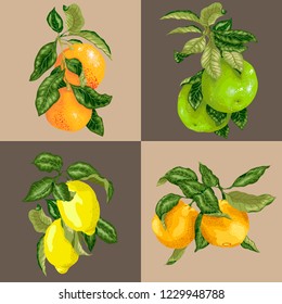 Seanless pattern in realistic vector graphic tile with citruc fruit in illustration