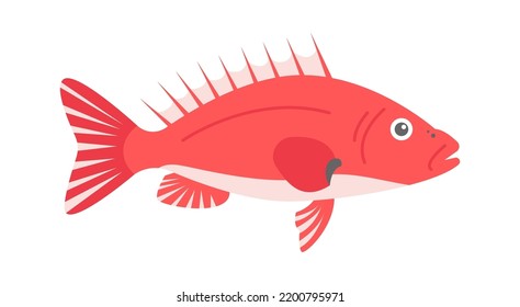 Seaperch Sea Fish. Vector illustration