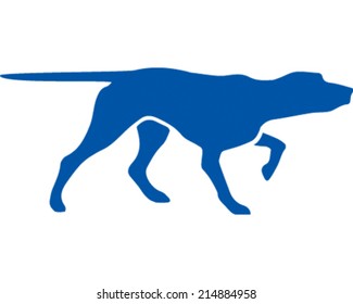 Search Dog
