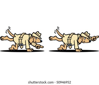 Search Dog