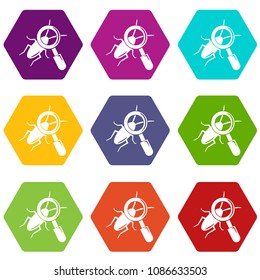 Search insect icons 9 set coloful isolated on white for web